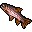 Trout